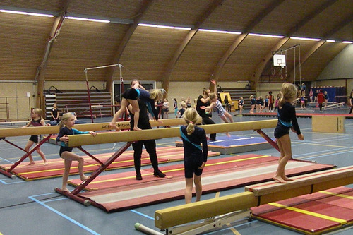 Foto bij Turnclub De Molenwiek