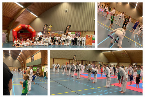 Taekwon-Do en weerbaarheid
